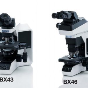 Microscope Olympus BX43 BX46 Image