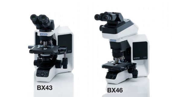 Microscope Olympus BX43 BX46 Image